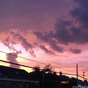 Meet your Posher, Zachary